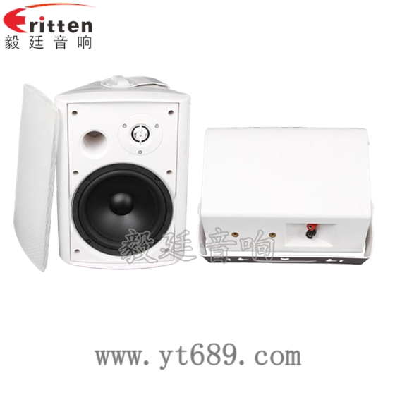 6.5寸2路墻壁音箱正反面