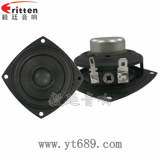 2.5寸20芯10瓦內(nèi)磁全頻喇叭正反面