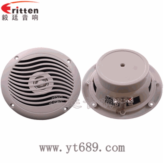 &ldquo;納尼&rdquo;毅廷完美喇叭功放??！