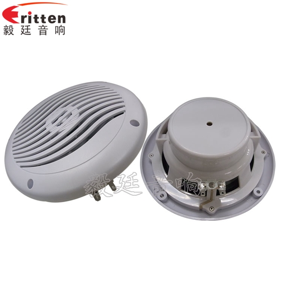 8''中低音舞臺(tái)音箱喇叭廠家正反面