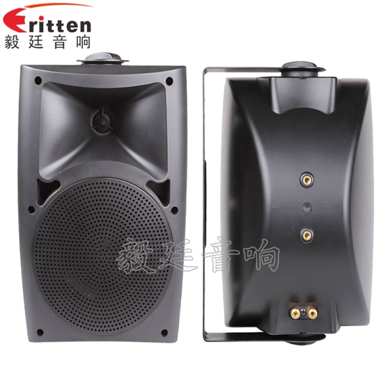 8''中低音舞臺(tái)音箱喇叭廠家正反面