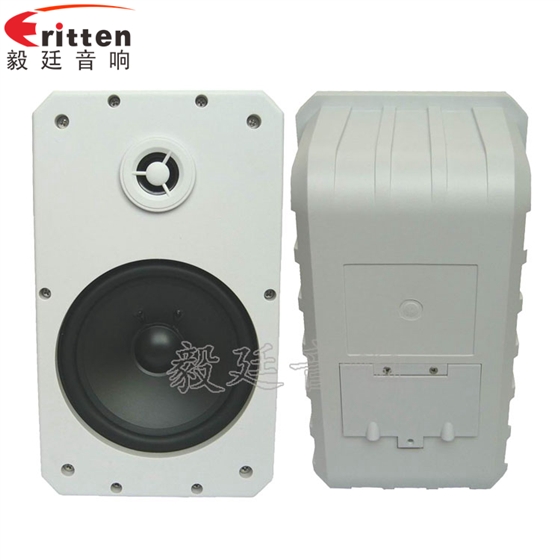 8''中低音舞臺(tái)音箱喇叭廠家正反面