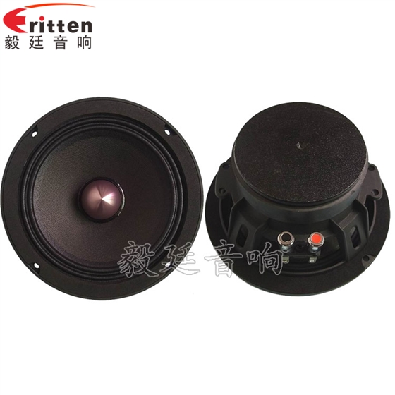 毅廷喇叭廠教如何更好養(yǎng)護喇叭