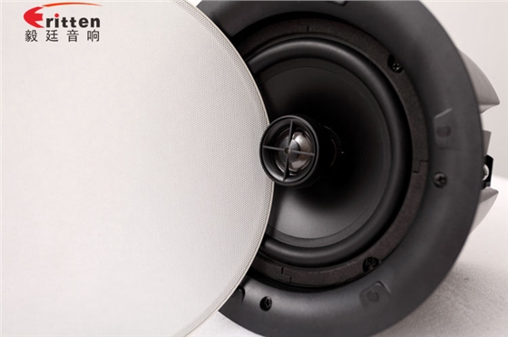 天花音響喇叭正面照