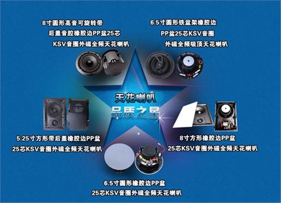 天花喇叭揚聲器產(chǎn)品分類