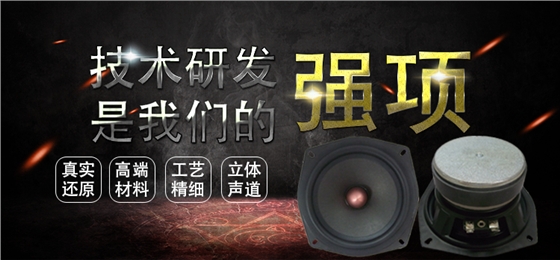 5寸中低音喇叭無線桌面音箱8歐30W外磁揚(yáng)聲器 5寸中低音喇叭無線桌面音箱8歐30W外磁揚(yáng)聲器