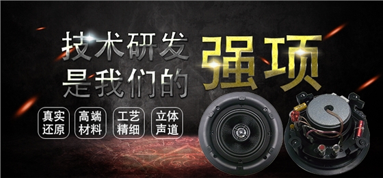 5.25寸天花揚聲