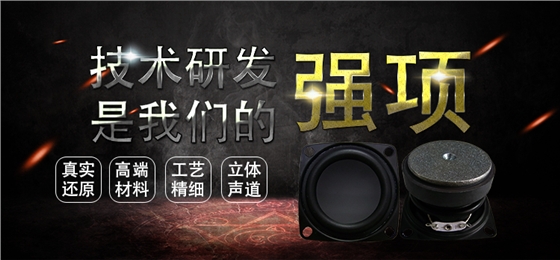 53mm7w16芯藍(lán)牙音箱喇叭