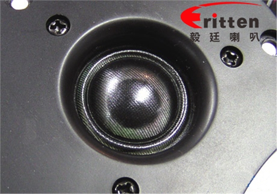 揚聲器廠家高音喇叭廠家