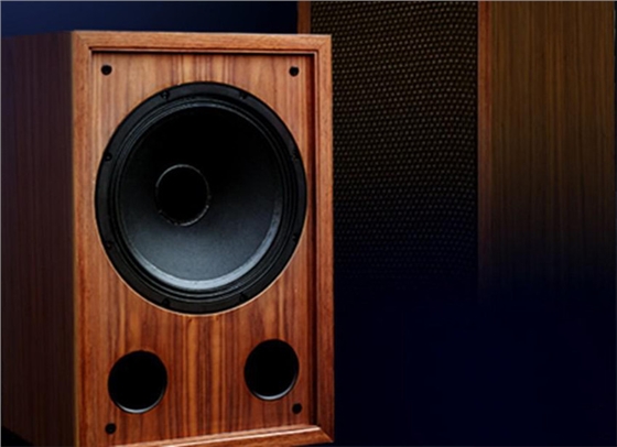 毅廷揚(yáng)聲器廠家 毅廷揚(yáng)聲器廠家