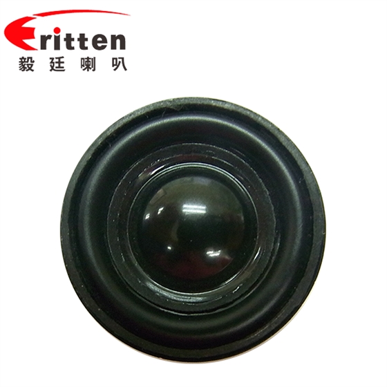 Φ31mm全頻內(nèi)磁藍牙音箱學習機