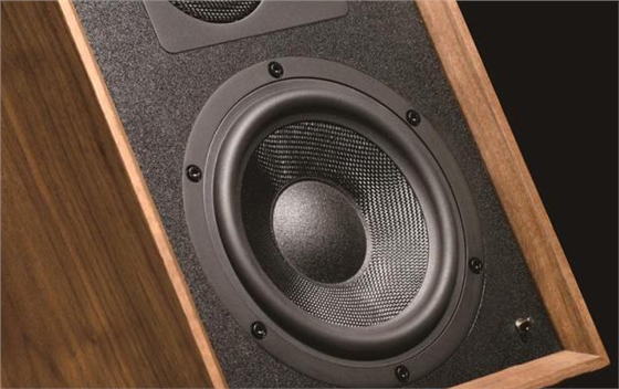 MY喇叭和NL揚(yáng)聲器