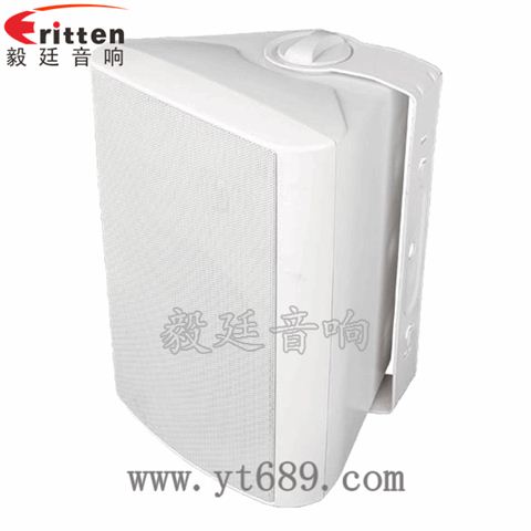 6.5寸2路墻壁音箱