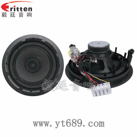 8寸25芯20瓦天花全頻喇叭