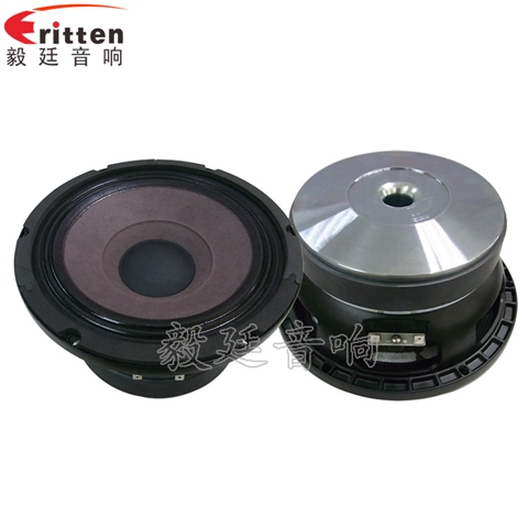 8寸中低音舞臺(tái)音箱喇叭