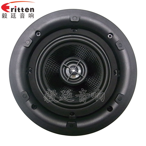 5.25寸天花揚(yáng)聲器