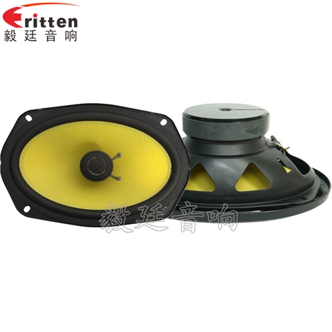 6寸25芯藍(lán)牙音箱全頻喇叭