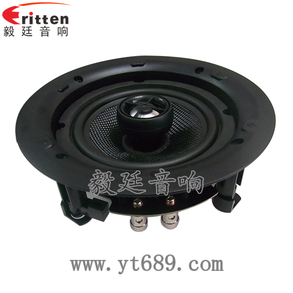 8''中低音舞臺(tái)音箱喇叭廠家正面圖