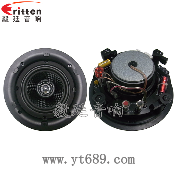 5.25寸天花揚(yáng)聲器正反面 8''中低音舞臺(tái)音箱喇叭廠家正反面