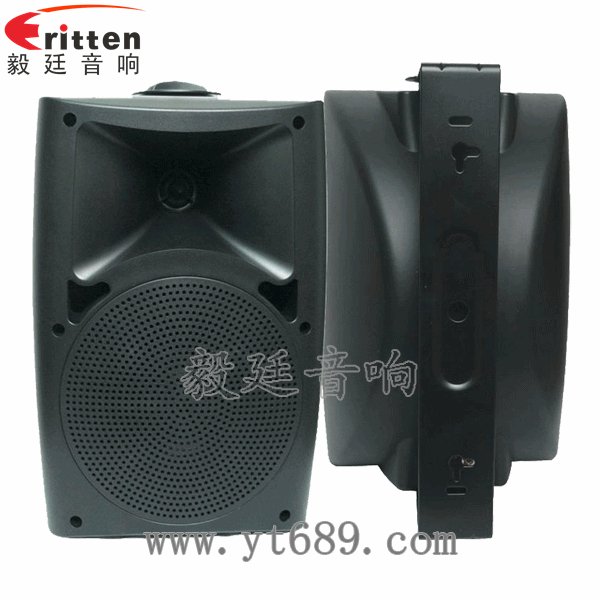 8''中低音舞臺音箱喇叭廠家正反面