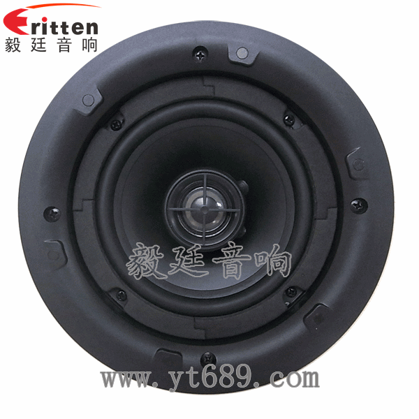 8''250w 重低音喇叭正面圖