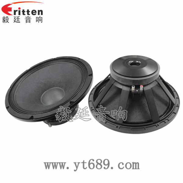 15寸重低音舞臺喇叭正反面 8''250w 重低音喇叭正反面