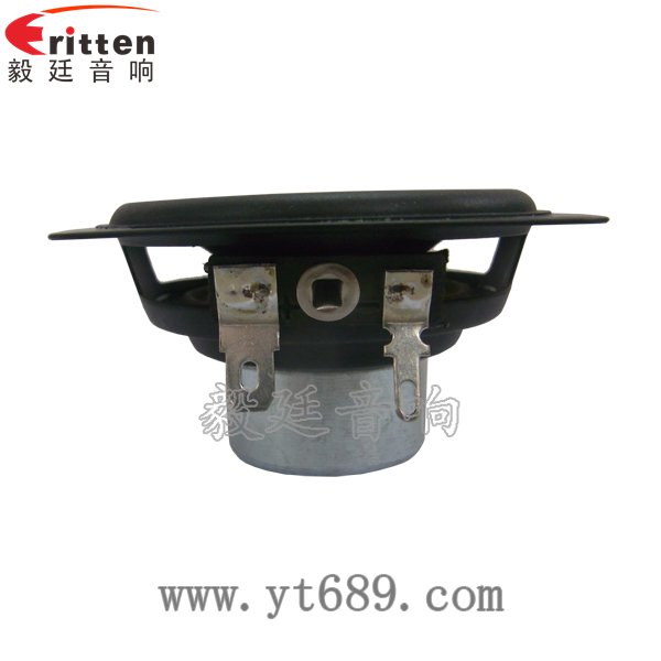 58mm20芯8瓦內(nèi)磁全頻喇叭正面圖