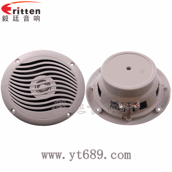 &ldquo;納尼&rdquo;毅廷完美喇叭功放！！