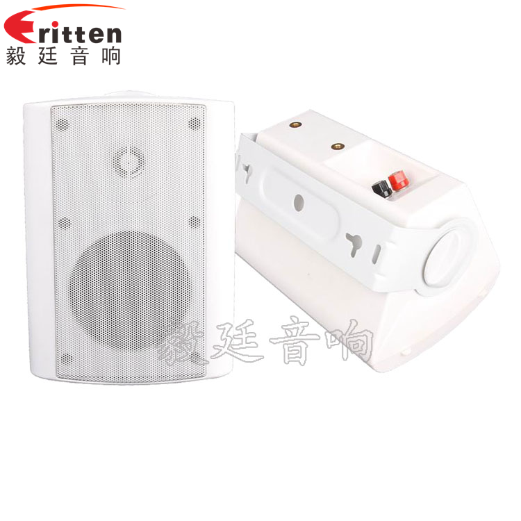 8''中低音舞臺(tái)音箱喇叭廠家正反面