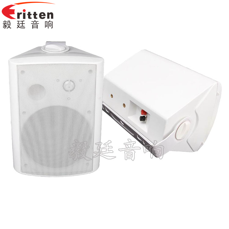 8''中低音舞臺(tái)音箱喇叭廠家正反面