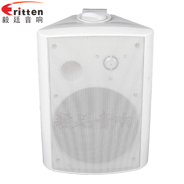 8''中低音舞臺(tái)音箱喇叭廠家正面圖