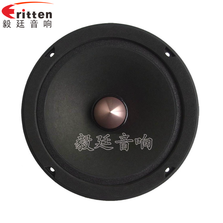 8''中低音舞臺音箱喇叭廠家正面圖