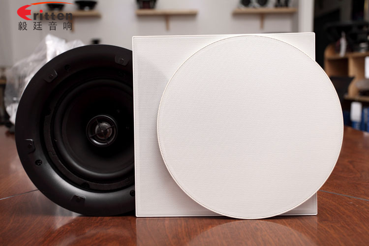 8''250w 重低音喇叭正面圖
