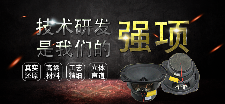 6寸（159mm）兩路汽車音響喇叭