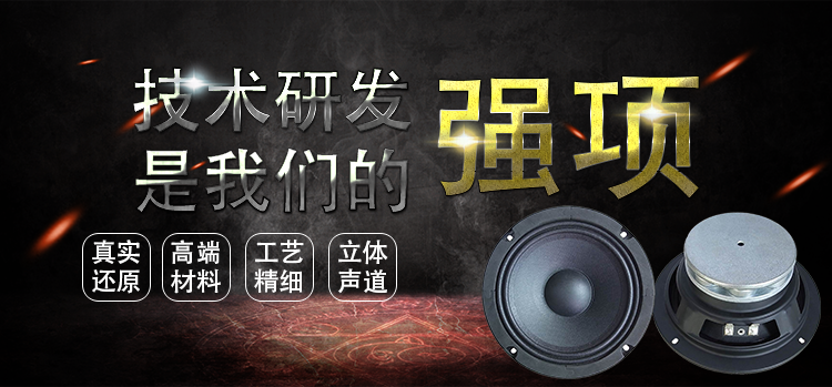 6.5寸中高音舞臺(tái)音箱喇叭